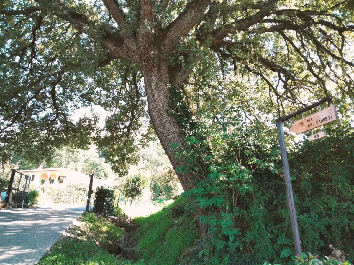 Ferienwohnung La Casa Dei Nonni Montepulciano Stazione Exterior foto